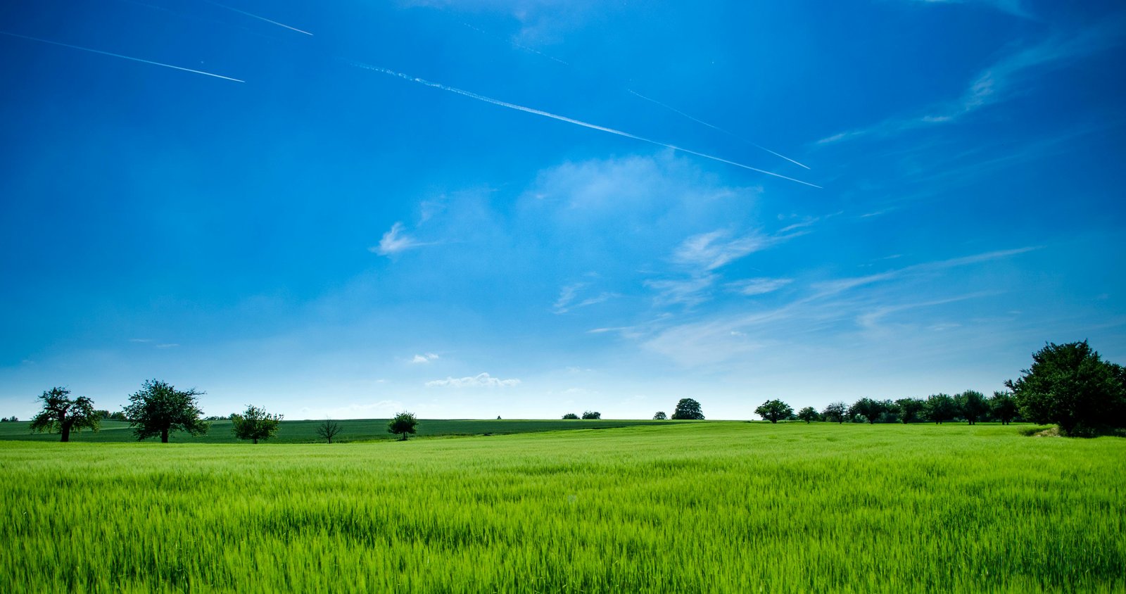 Top-rated Landscape Artesia's Premier Landscape Remodeling Company